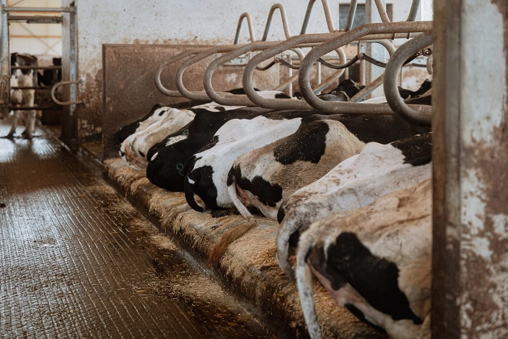 Economia e sustentabilidade: <br /><strong>por que o Aquastar® é mais vantajoso</strong>