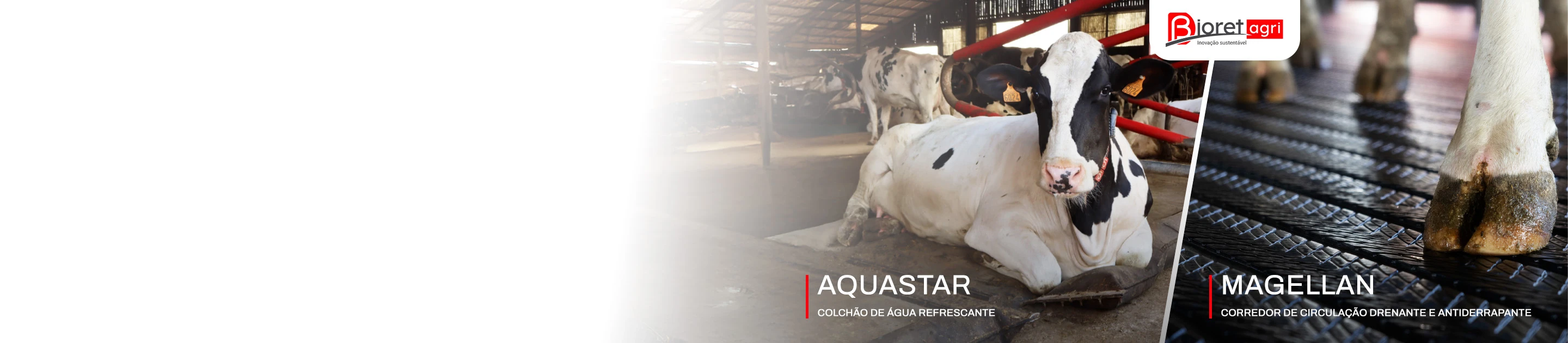 Bioret AgriSOLUÇÕES AVANÇADAS DE BEM-ESTARPARA VACAS LEITEIRAS