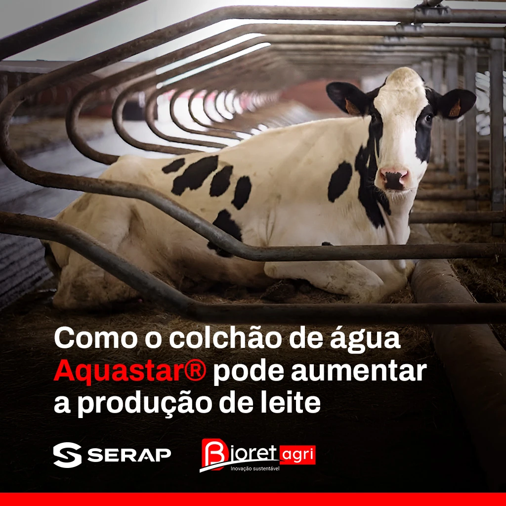 Aumente sua produção de leite com o colchão de água Aquastar®