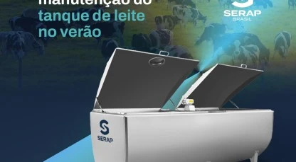 A importância da manutenção do tanque de leite durante o verão