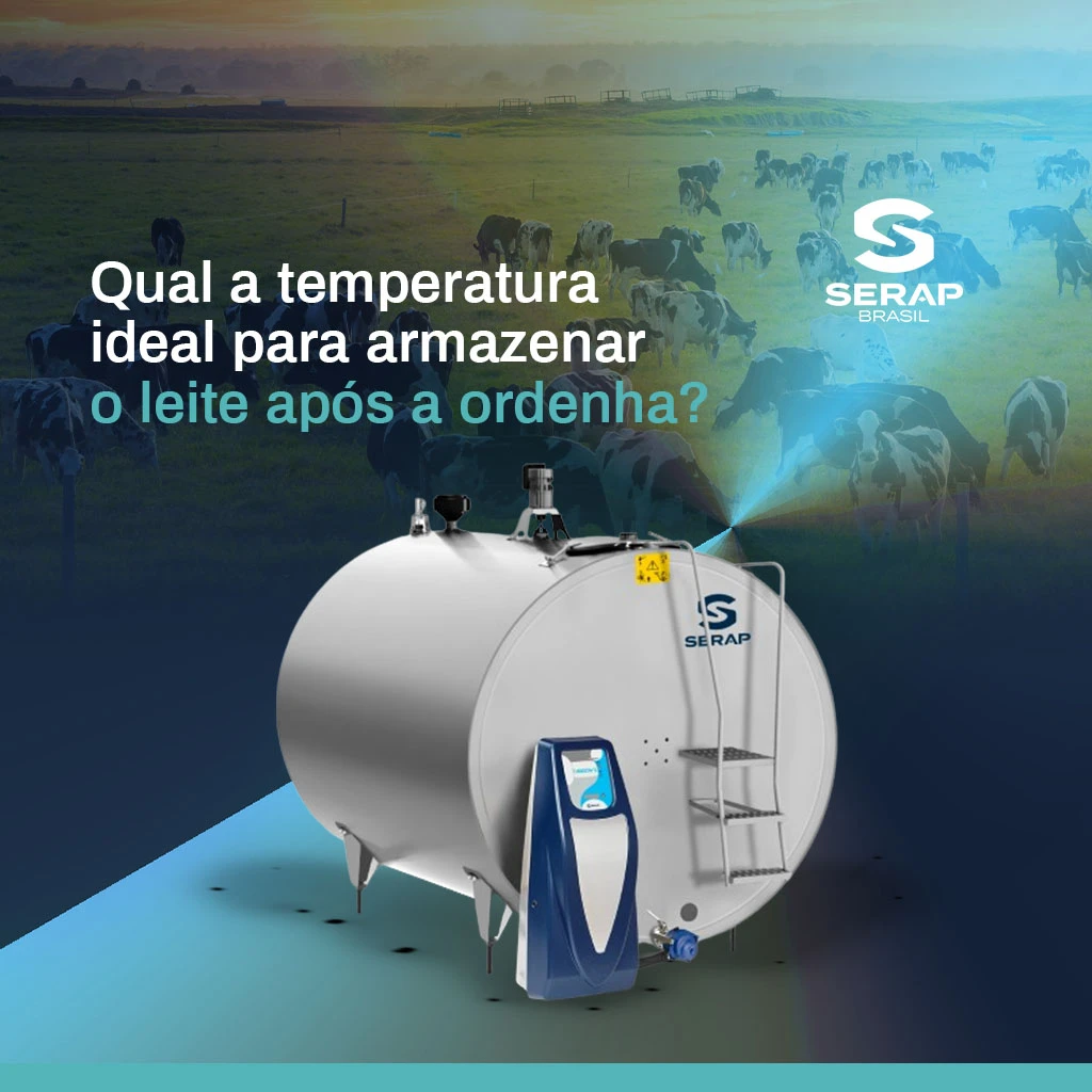 Armazenamento do leite pós-ordenha: qual a temperatura recomendada?