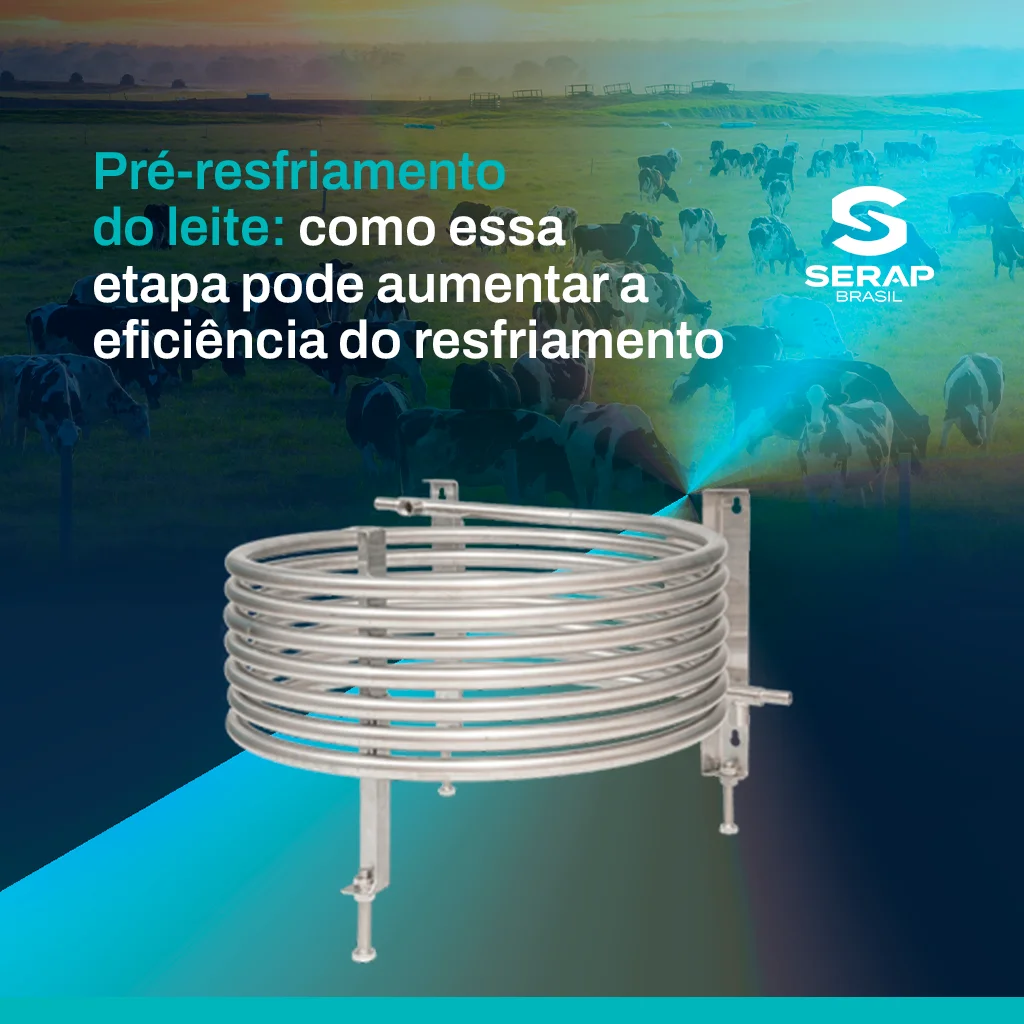 Pré-resfriamento do leite: como aumenta a eficiência do processo