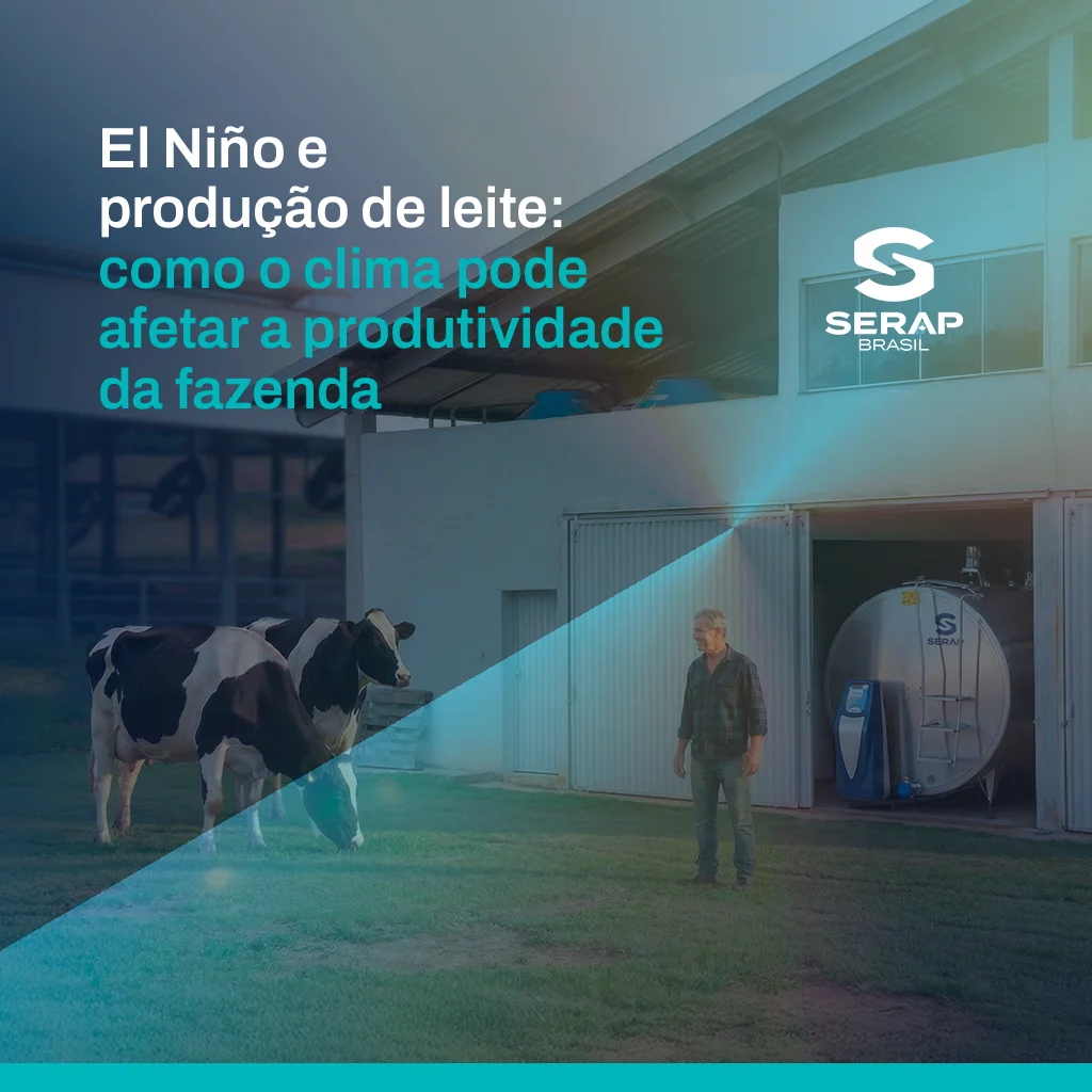 El Niño e produção de leite: como o clima pode afetar a produtividade da fazenda